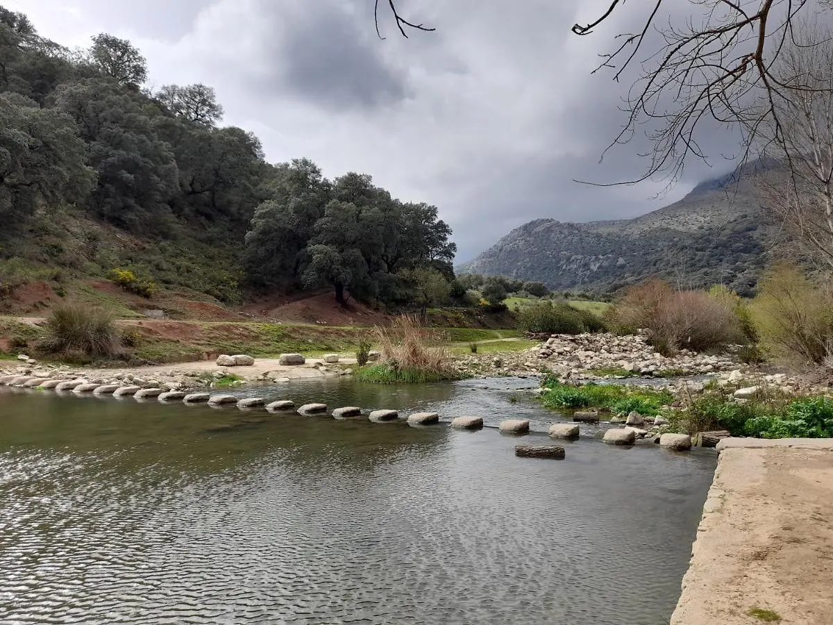 Apartamento Estacion 54 Benaojan Spain